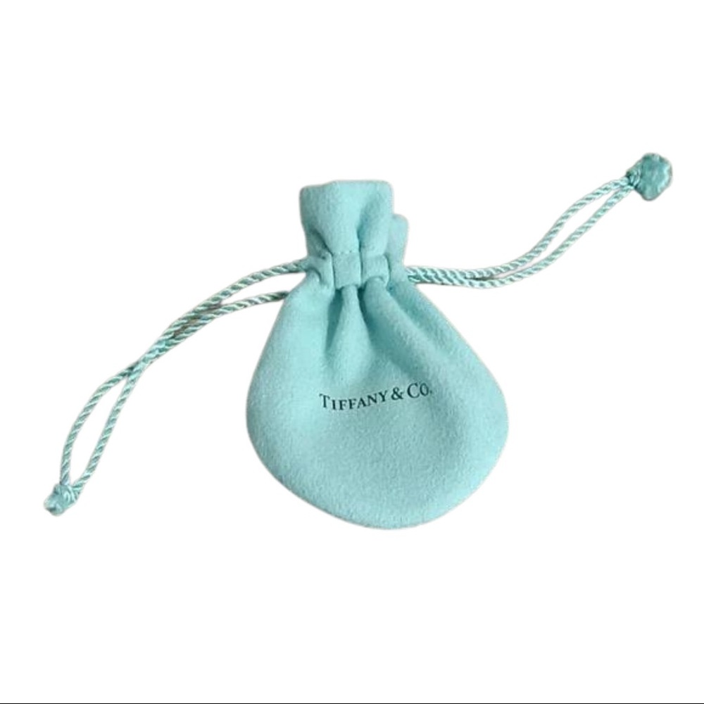 Tiffany Mini Dust Bag